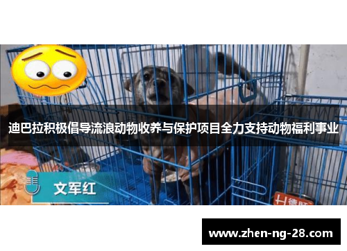 迪巴拉积极倡导流浪动物收养与保护项目全力支持动物福利事业