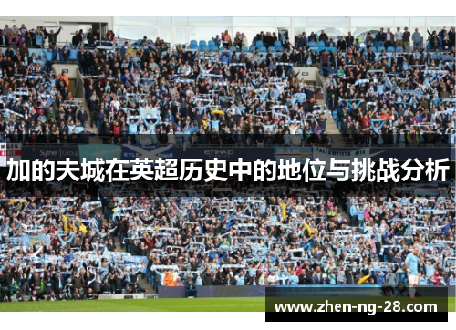 加的夫城在英超历史中的地位与挑战分析
