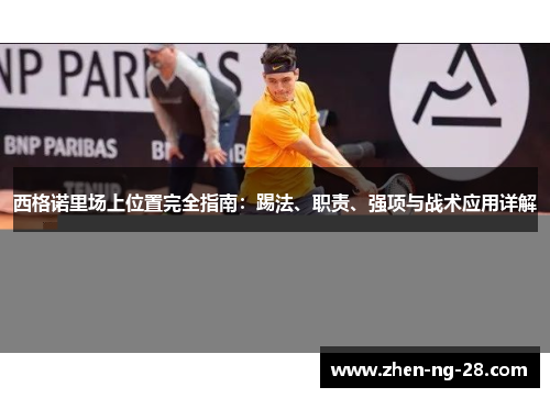 西格诺里场上位置完全指南：踢法、职责、强项与战术应用详解