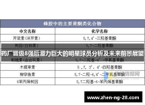 药厂晋级8强后潜力巨大的明星球员分析及未来前景展望